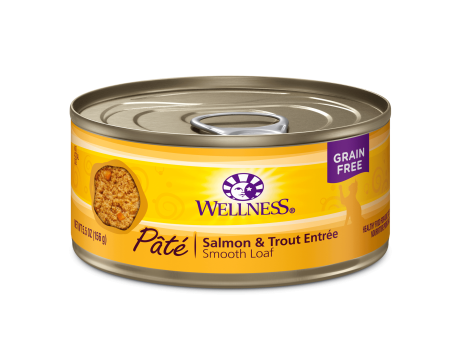 Wellness Complete Health™ Pâté Salmon & Trout on Sale